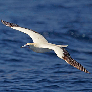 Políticas de la compañía